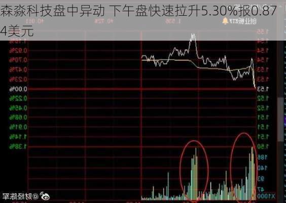 森淼科技盘中异动 下午盘快速拉升5.30%报0.874美元