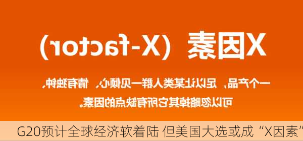 G20预计全球经济软着陆 但美国大选或成“X因素”