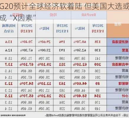 G20预计全球经济软着陆 但美国大选或成“X因素”