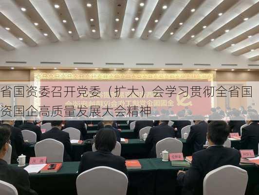 省国资委召开党委（扩大）会学习贯彻全省国资国企高质量发展大会精神