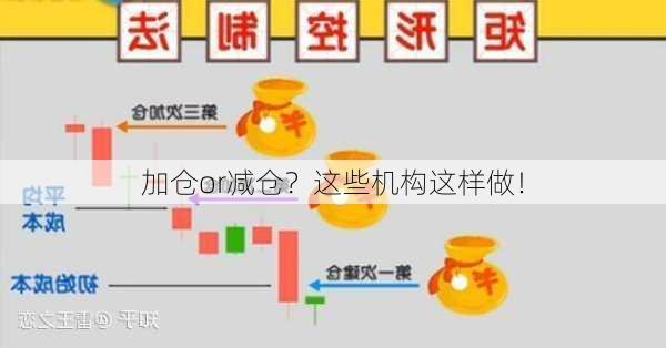 加仓or减仓？这些机构这样做！