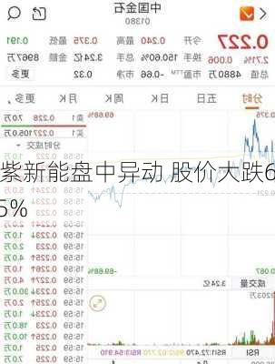 九紫新能盘中异动 股价大跌6.25%