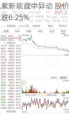 九紫新能盘中异动 股价大跌6.25%