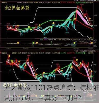 光大期货1101热点追踪：棕榈油剑指万点，当真势不可挡？