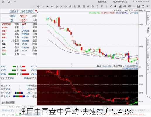 理臣中国盘中异动 快速拉升5.43%