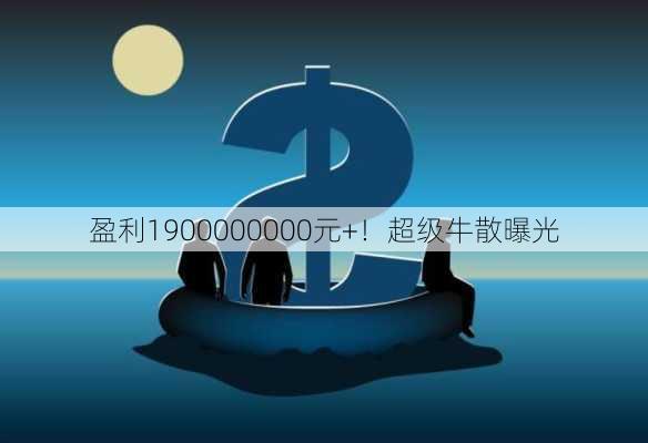 盈利1900000000元+！超级牛散曝光