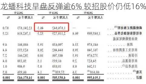 龙蟠科技早盘反弹逾6% 较招股价仍低16%