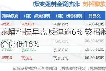 龙蟠科技早盘反弹逾6% 较招股价仍低16%