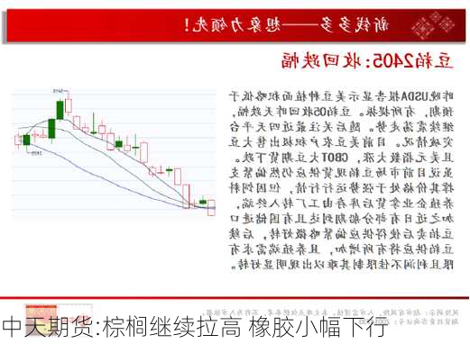 中天期货:棕榈继续拉高 橡胶小幅下行