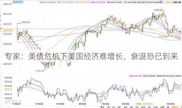 专家：美债危机下美国经济难增长，衰退恐已到来