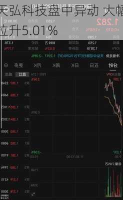 天弘科技盘中异动 大幅拉升5.01%