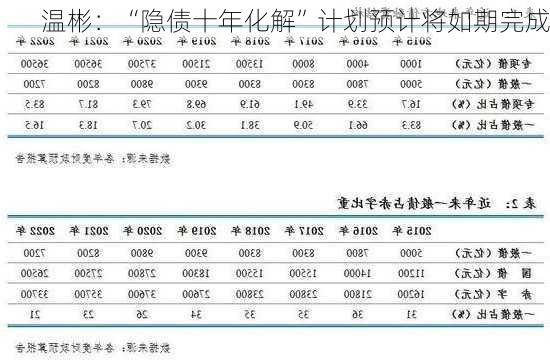 温彬：“隐债十年化解”计划预计将如期完成