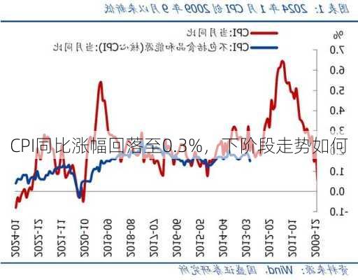 CPI同比涨幅回落至0.3%，下阶段走势如何