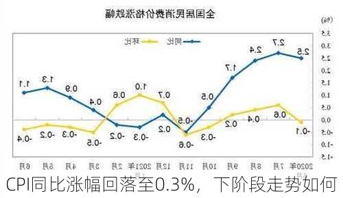 CPI同比涨幅回落至0.3%，下阶段走势如何