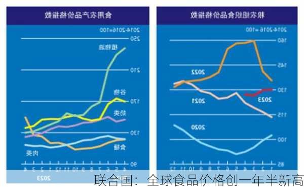 联合国：全球食品价格创一年半新高