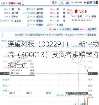 遥望科技（002291）、新宁物流（300013）投资者索赔案持续推进