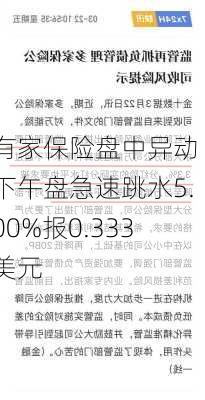 有家保险盘中异动 下午盘急速跳水5.00%报0.333美元