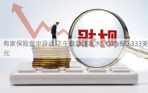 有家保险盘中异动 下午盘急速跳水5.00%报0.333美元