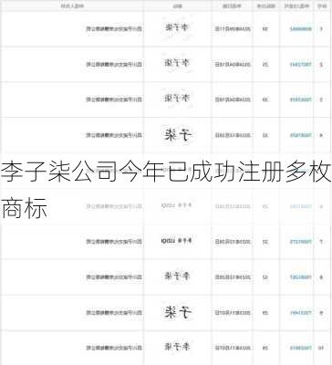 李子柒公司今年已成功注册多枚商标