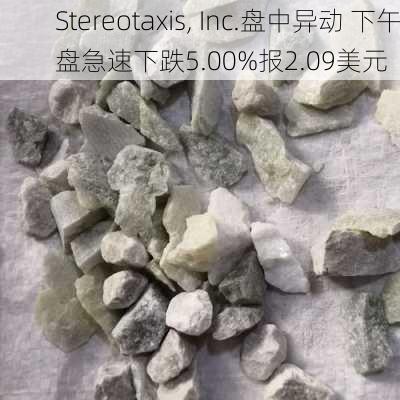 Stereotaxis, Inc.盘中异动 下午盘急速下跌5.00%报2.09美元