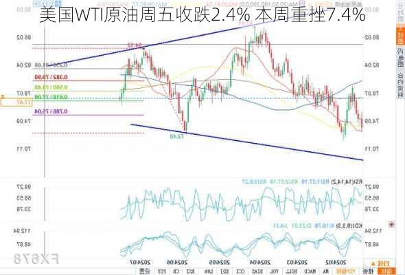 美国WTI原油周五收跌2.4% 本周重挫7.4%