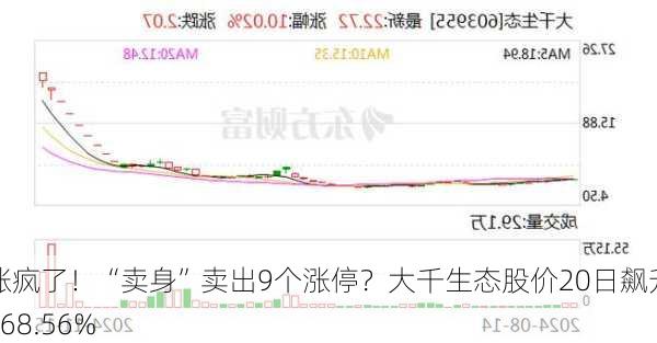 涨疯了！“卖身”卖出9个涨停？大千生态股价20日飙升168.56%